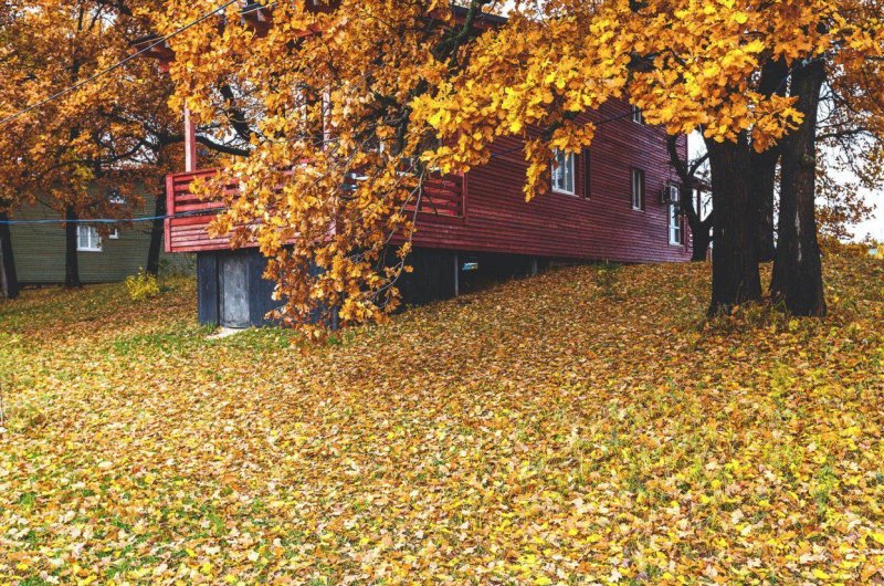 Турбаза-гостиница Шведские дачи. Фото 15